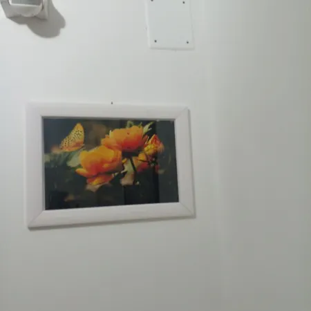 Locazione Turistica Madera 3* בארי